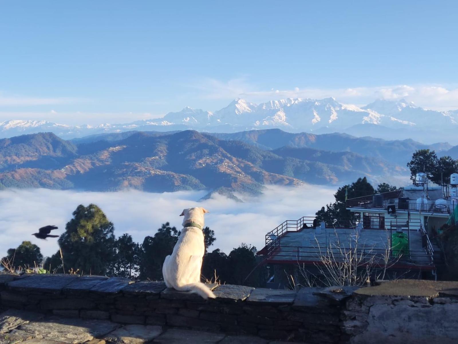 The Heavens Διαμέρισμα Almora Εξωτερικό φωτογραφία